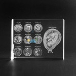 Pregnancy Weeks 1-40 2D Model in Glass